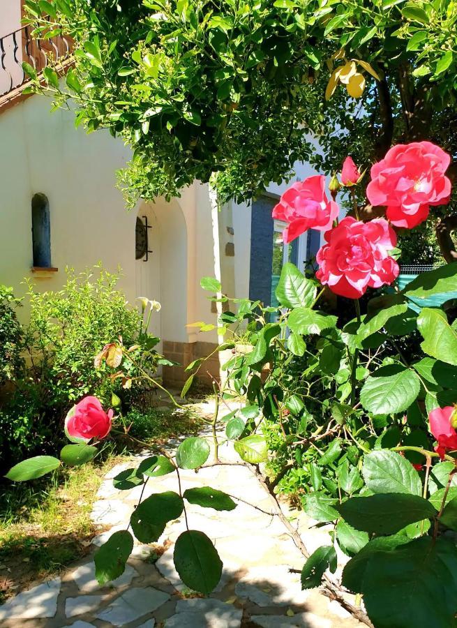 Apartamento Au Calme Confort Proche Des Plages - Jardin Wifi Parking Fréjus